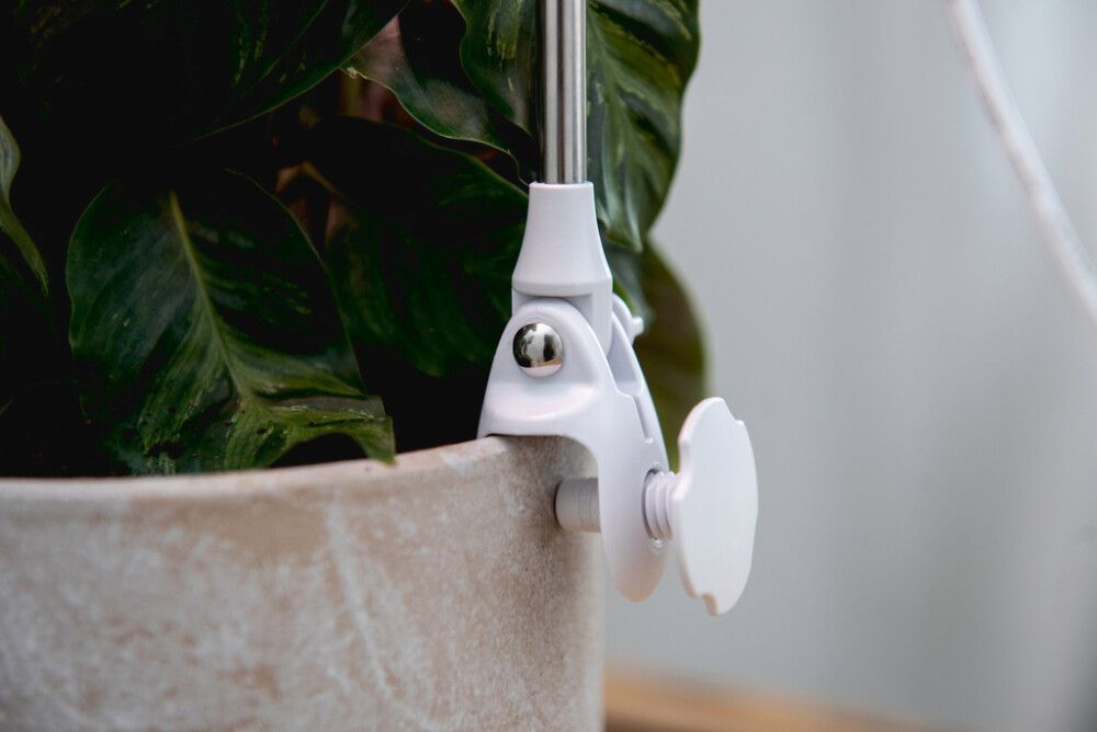 LED-taimevalgusti Airam Rose