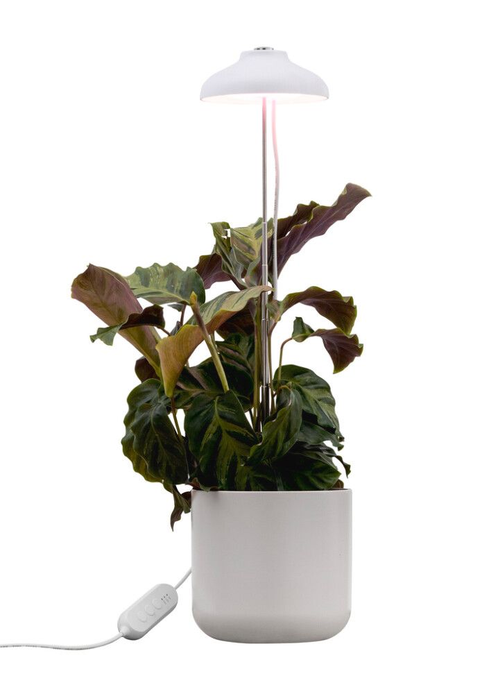 LED-taimevalgusti Airam Iris