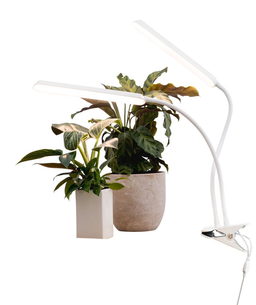 LED-taimevalgusti Airam Tulip