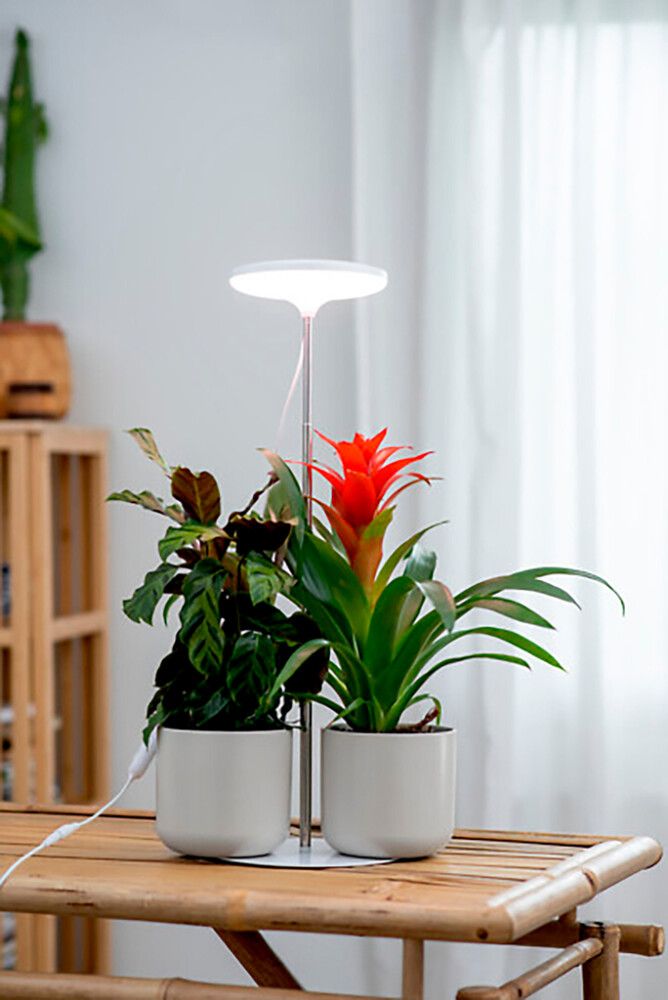 Taimevalgusti Airam Ivy 650 LM