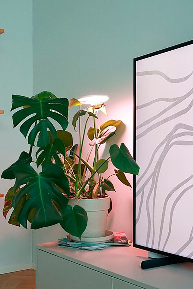 Taimevalgusti Airam Ivy 650 LM