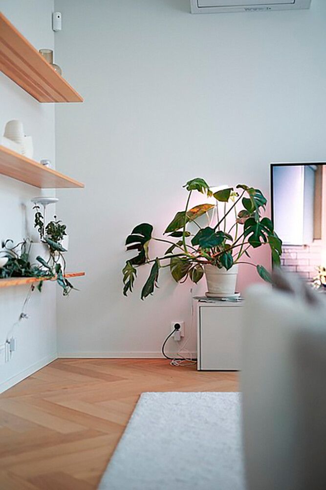 Taimevalgusti Airam Ivy 650 LM