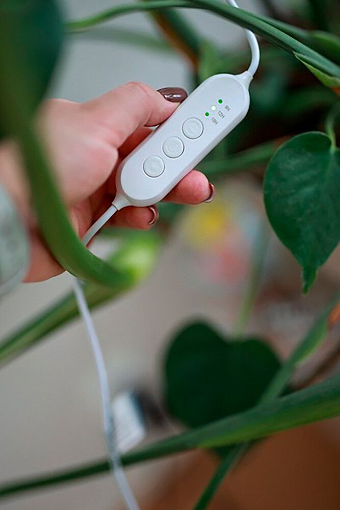 Taimevalgusti Airam Ivy 650 LM