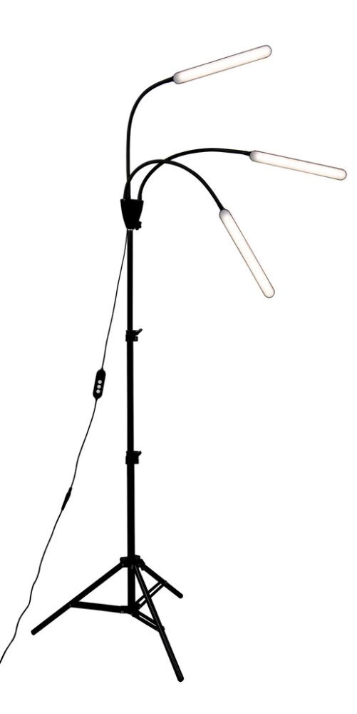 Taimevalgusti Airam Palm