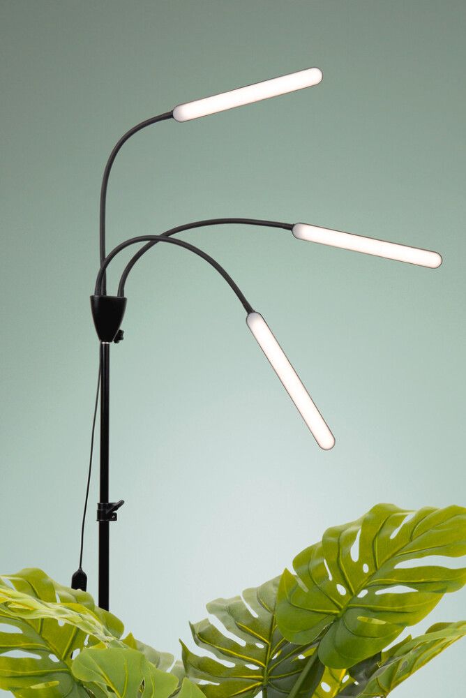 Taimevalgusti Airam Palm