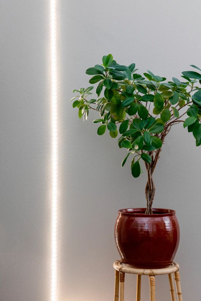 Taimevalgusti Airam Led-riba 2m