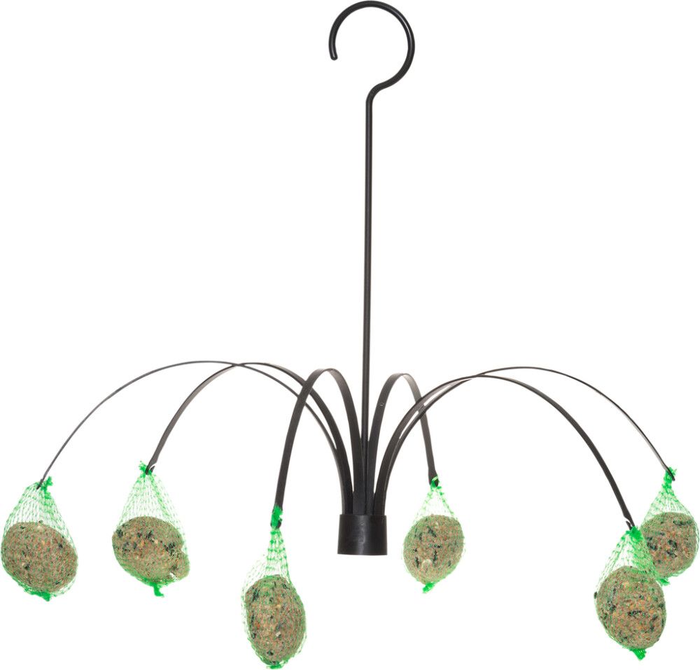 Söötja rasvapallidele Palm