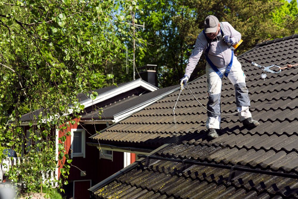 Samblaeemaldusvahend Tikkurila Kilpi Katonpuhdistaja 5 l