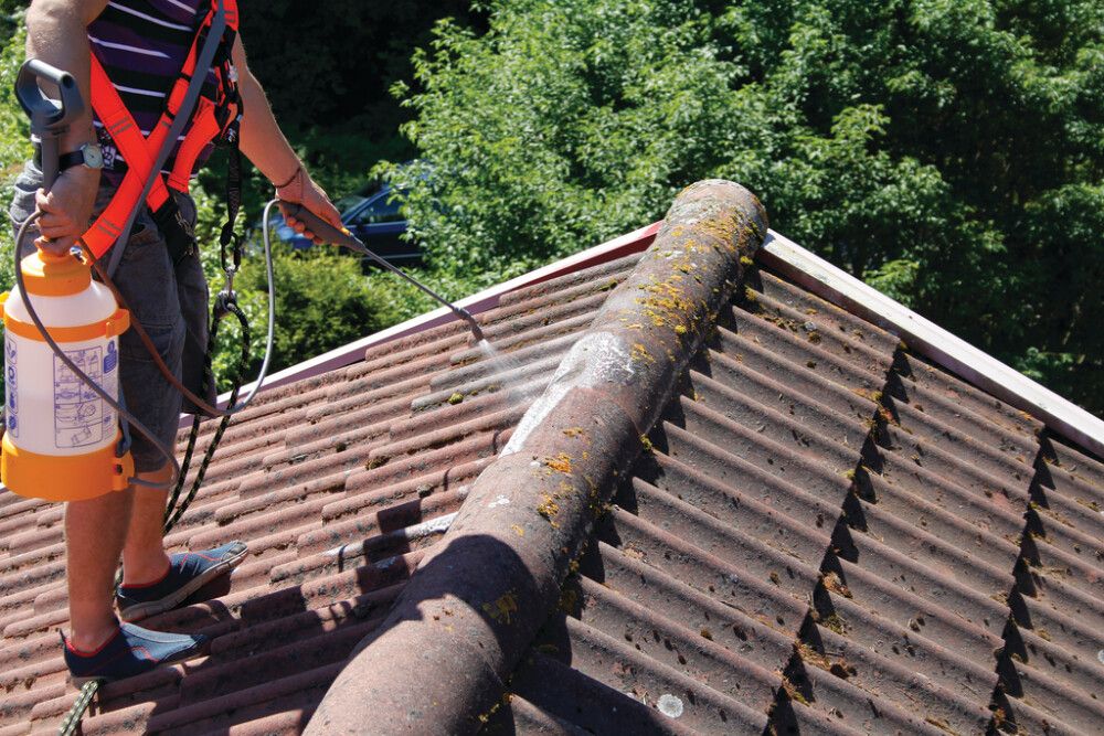 Samblaeemaldusvahend Tikkurila Kilpi Katonpuhdistaja 5 l