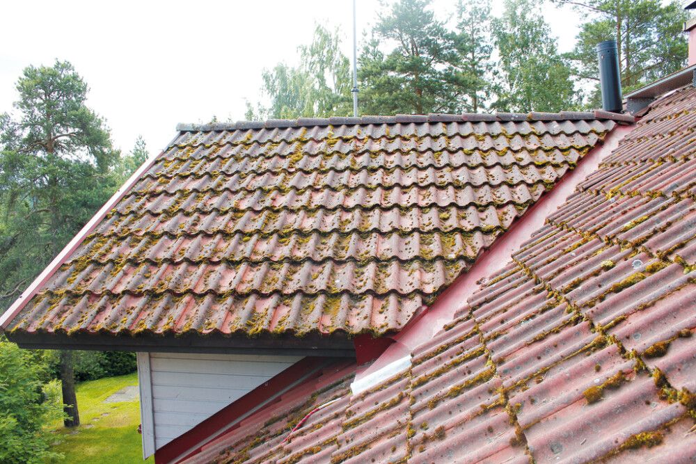 Samblaeemaldusvahend Tikkurila Kilpi Katonpuhdistaja 5 l