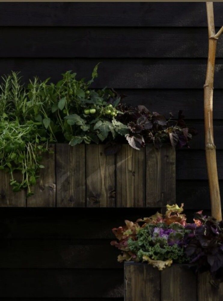 Puiduõli Tikkurila Patio Verso pruun 0,33 l