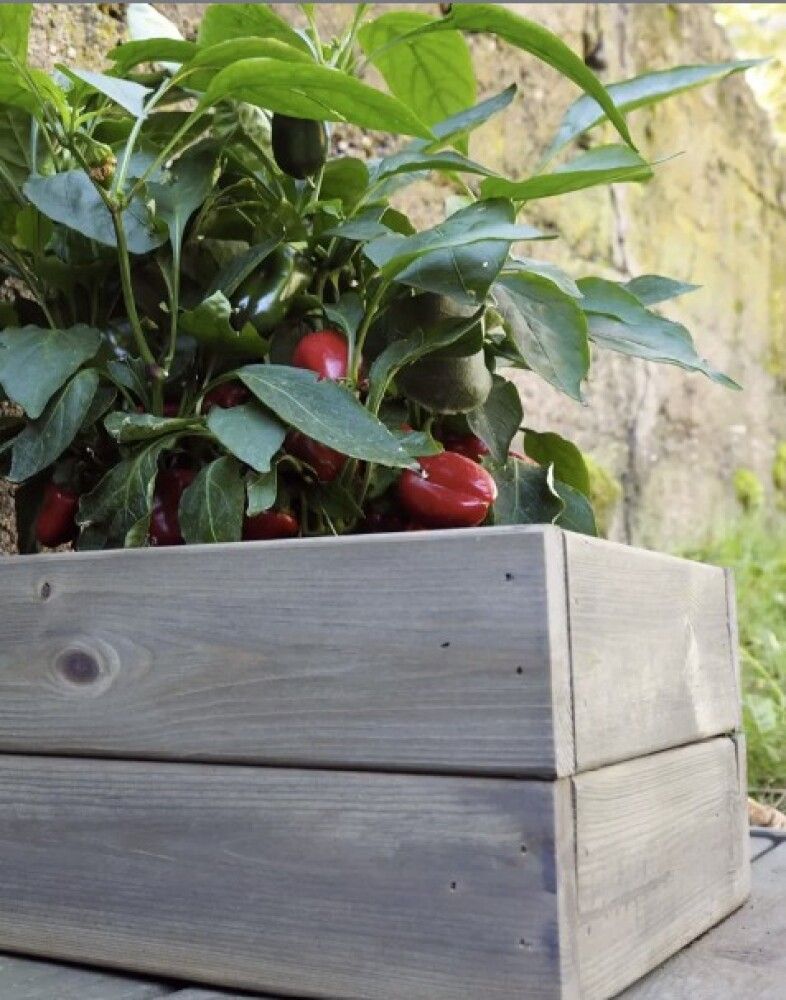 Puiduõli Tikkurila Patio Verso hall 0,33 l