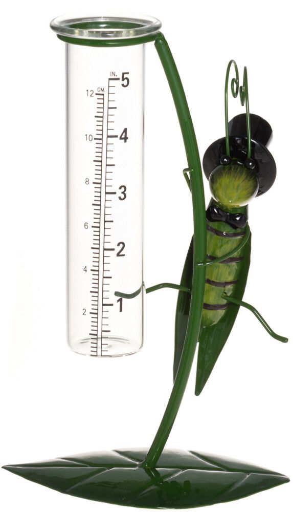 Sademete mõõtja Putukas valik 12 cm