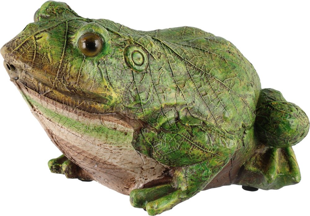 Aiakaunistus Krooksuv Konn