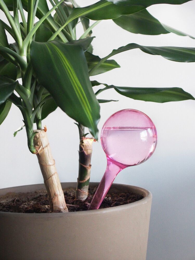 Automaatne kastja 4living 2 tk/pk värvivalik