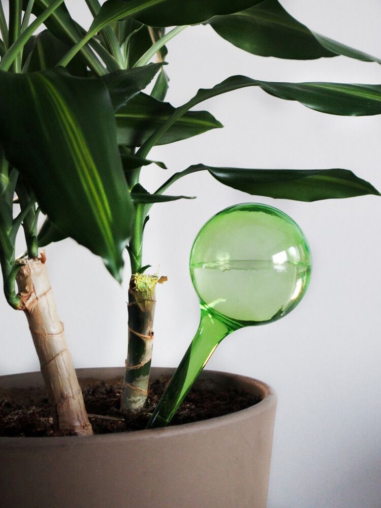 Automaatne kastja 4living 2 tk/pk värvivalik