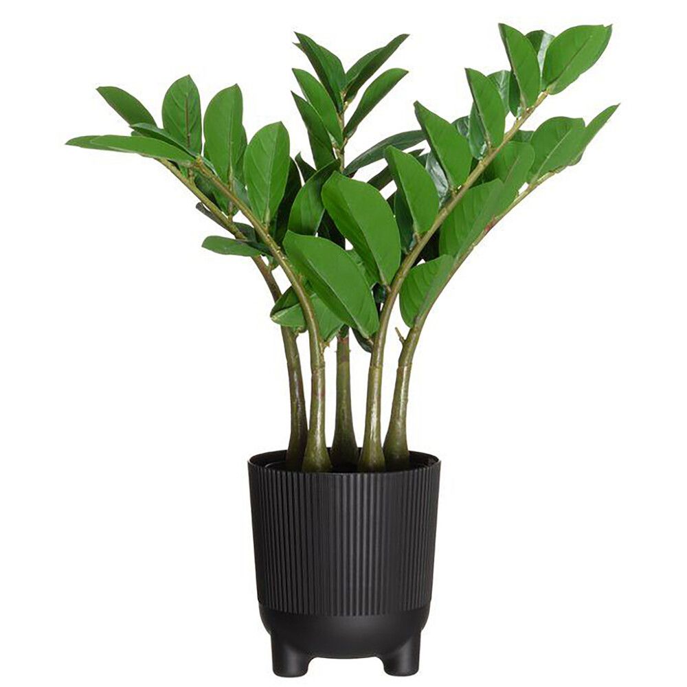 Ümbrispott 4living Aria Jumper Ø 14 cm, must