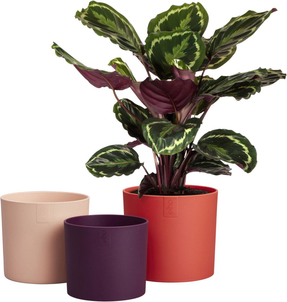 Ümbrispott Elho Lex 3 tk