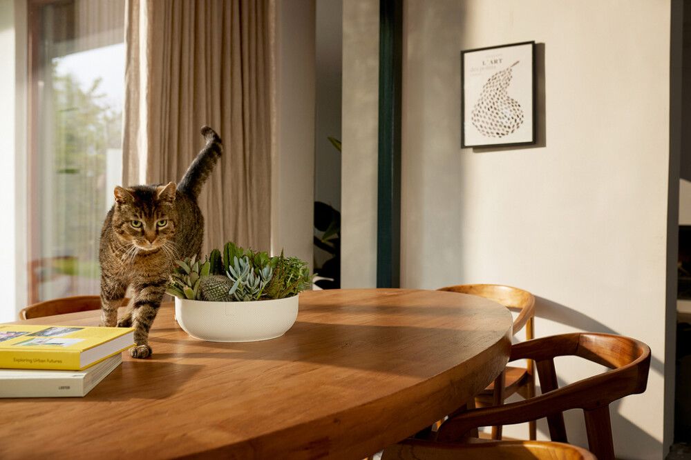 Ümbrispott Elho Jazz 28 cm, valge