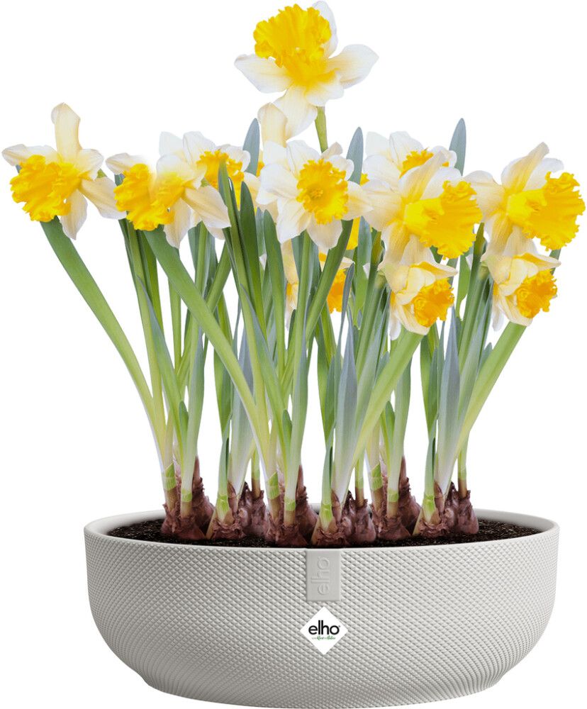 Ümbrispott Elho Jazz 28 cm, valge