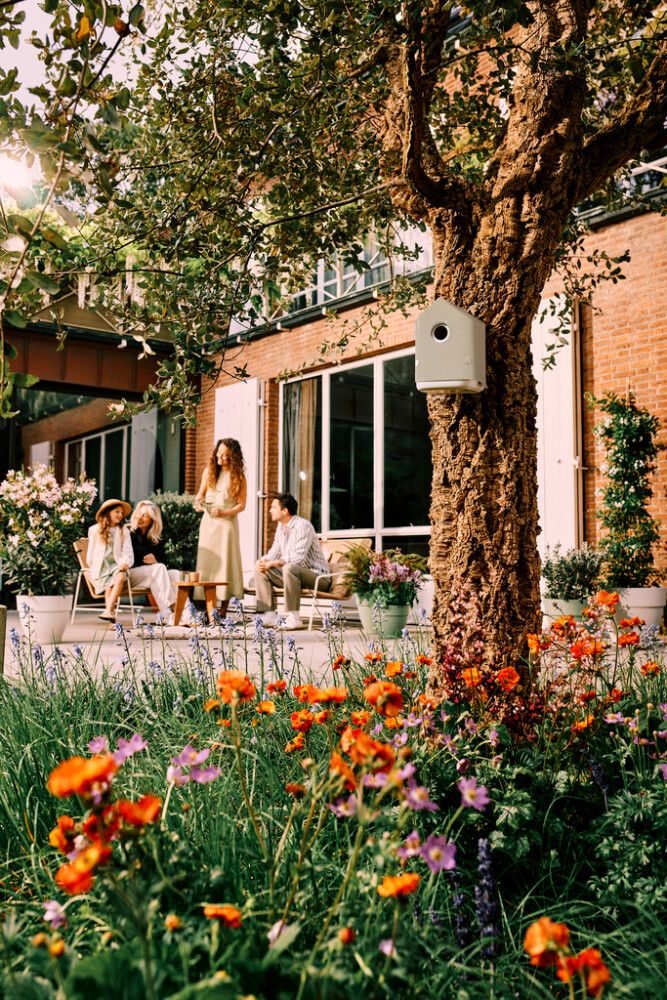 Linnumaja Elho Cosy 18 x 23 x 18 cm, beež