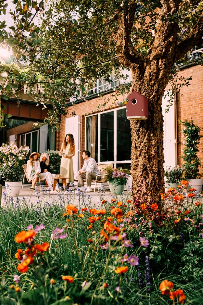 Linnumaja Elho Cosy 18 x 23 x 18 cm, punane