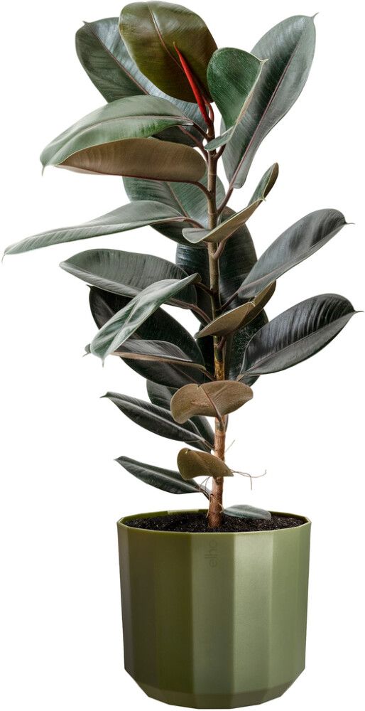 Ümbrispott Elho Facet 14 cm, tumeroheline