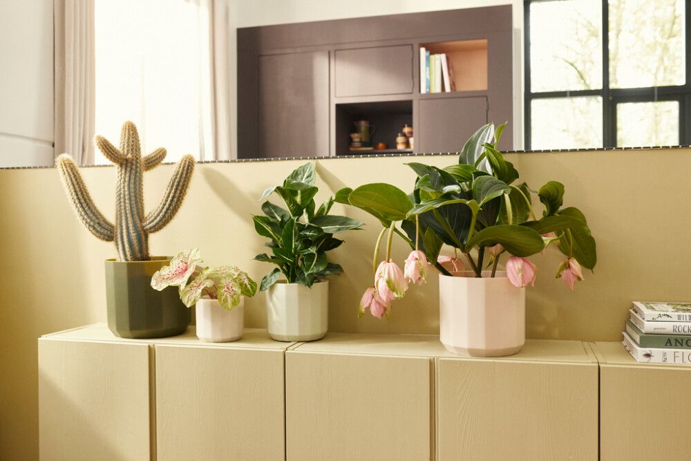 Ümbrispott Elho Facet 19 cm, beež