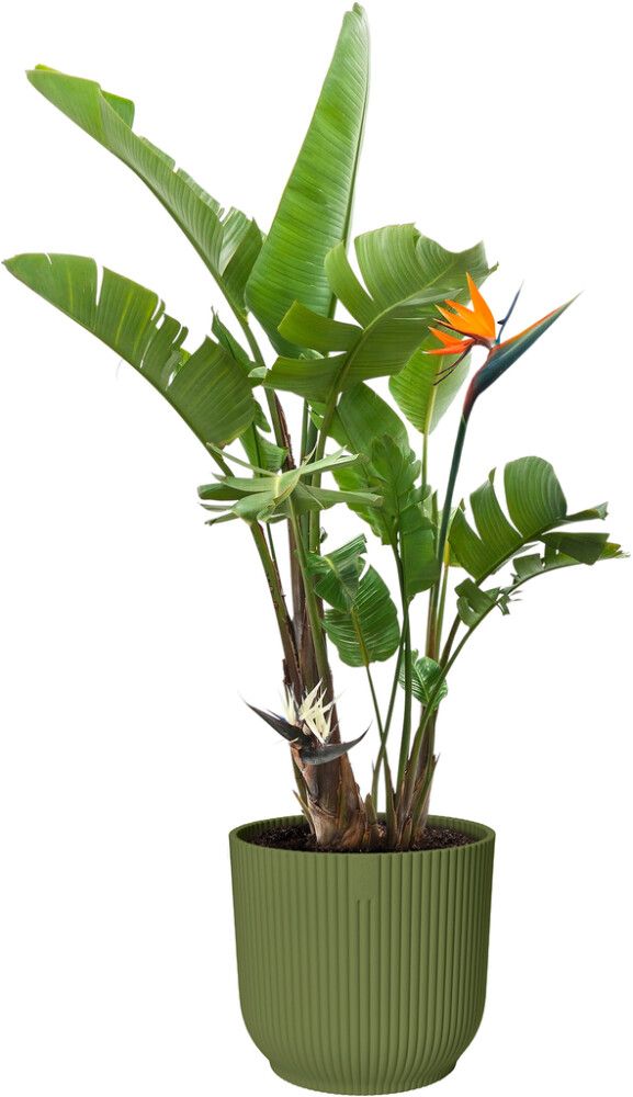 Ümbrispott Elho Vibes Fold18 cm, antratsiit