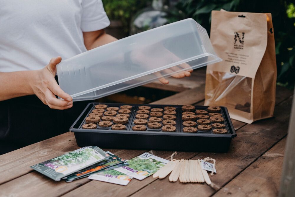 Minikasvuhoone Nelson Garden Air 38 x 24 cm