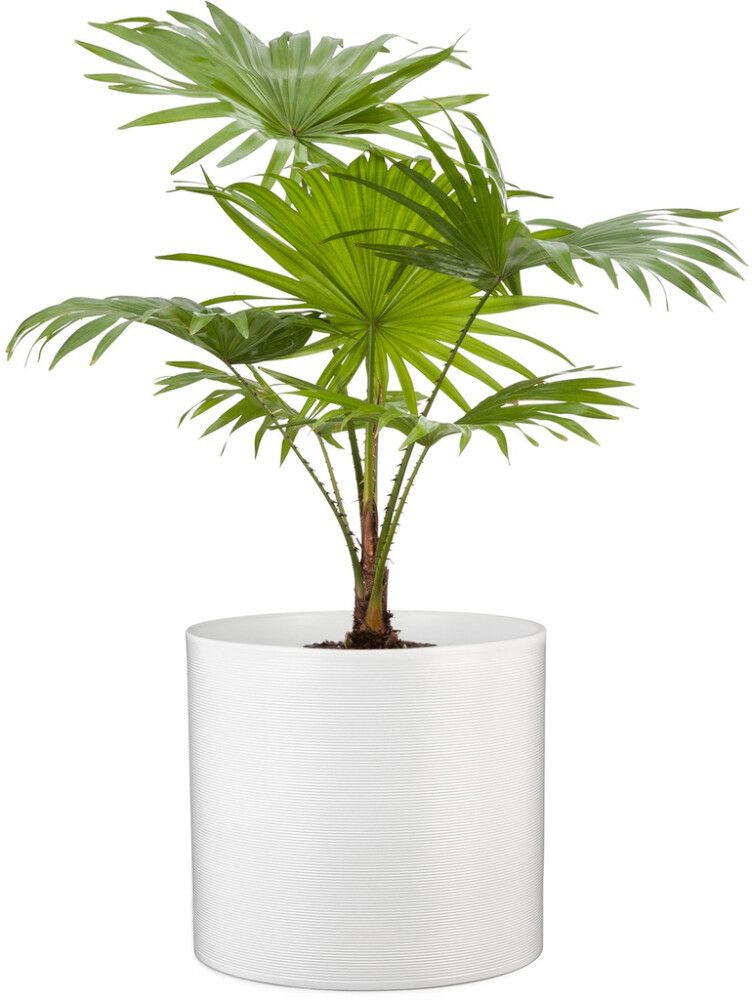 Ümbrispott Panna Ø 14 cm, valge