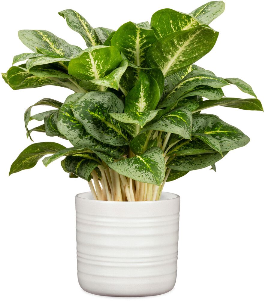 Ümbrispott Soft Wool Ø 23 cm