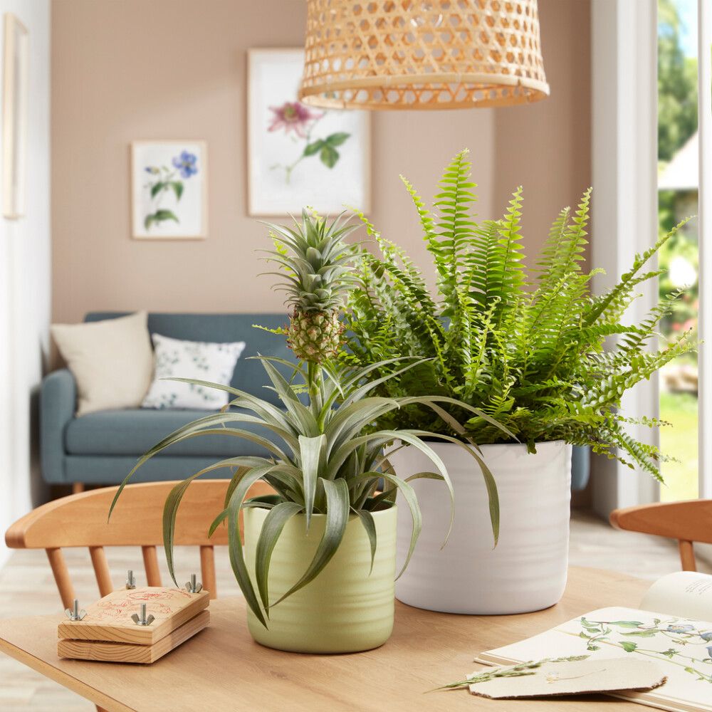 Ümbrispott Scheurich Soft Wool Ø 20 cm