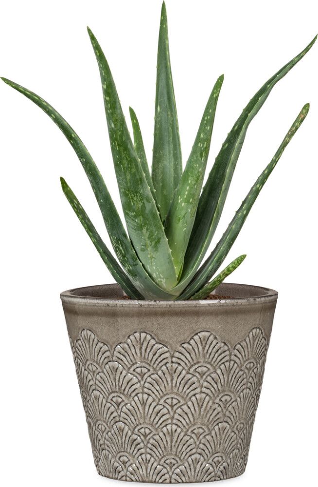 Ümbrispott Scheurich Vintage Grey Ø 13 cm