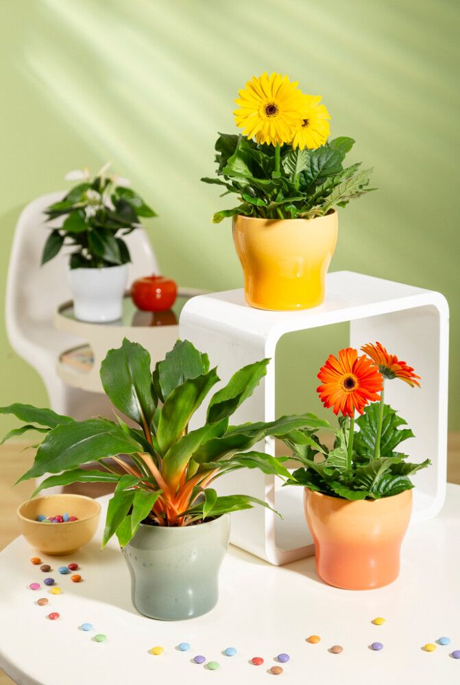 Ümbrispott Scheurich 824 13 cm, oranž