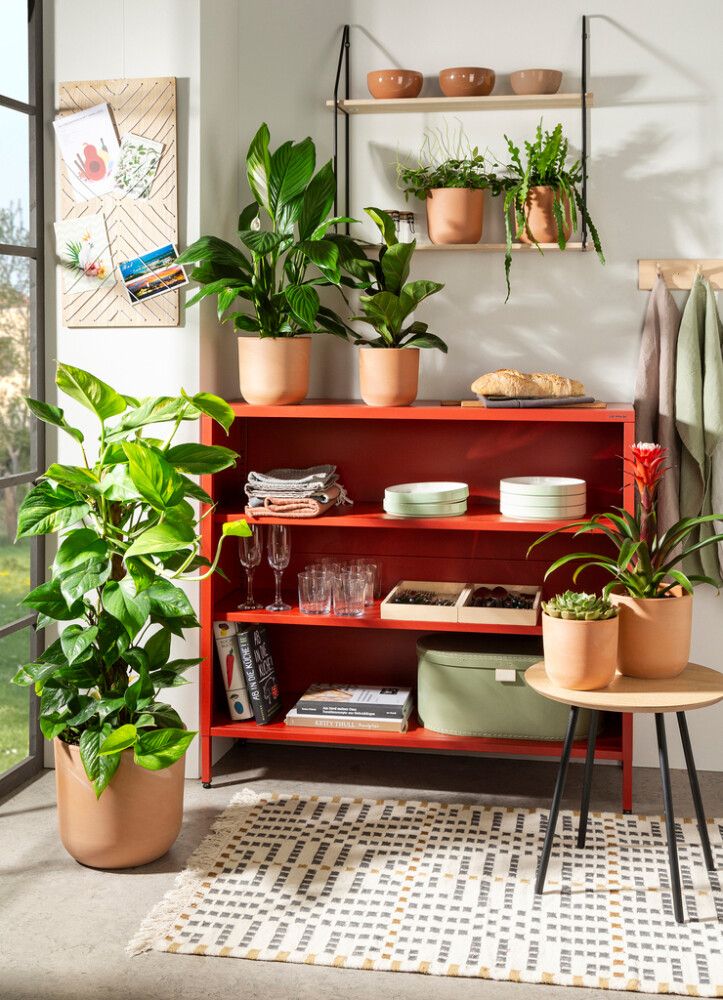 Ümbrispott Scheurich Rosso 14 cm, terra