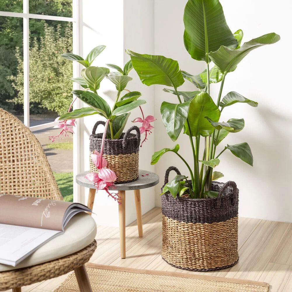 Väikepilt 3