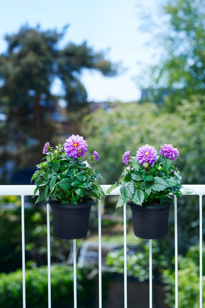 Lillepottide alus Green Basic All-In-1, must