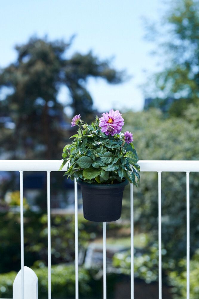 Lillepottide alus Green Basic All-In-1, must