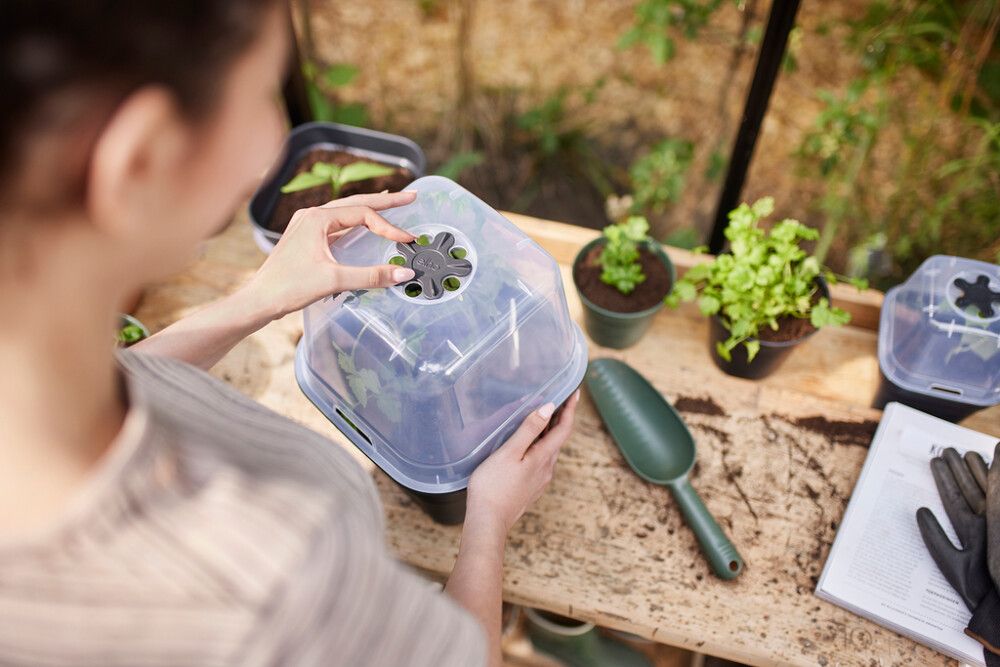 Istutuspott Elho Green Basics Allin1 Ø 15 cm