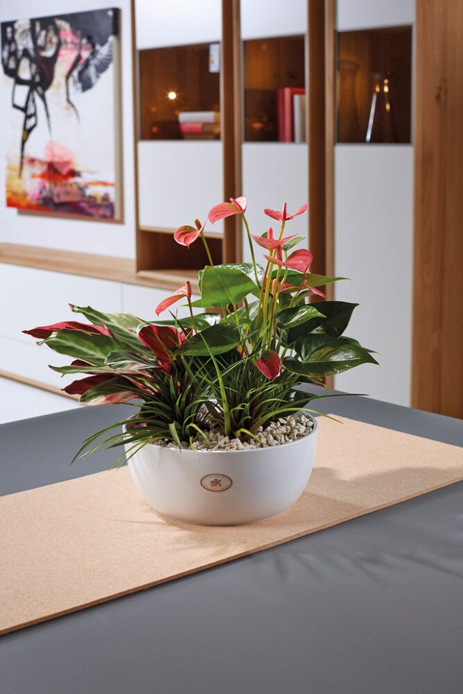 Ümbrispott Soendgen Basel 23 cm, valge