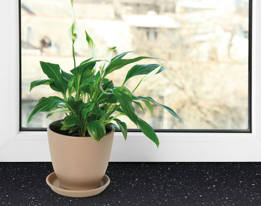 Kleepkile D-C-Fix Black Granite 67,5 cm x 2 m