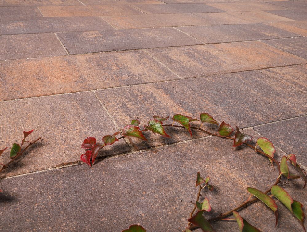 Betoonplaat EHL BAUHAUS 50 x 25 x 4 cm Sunset