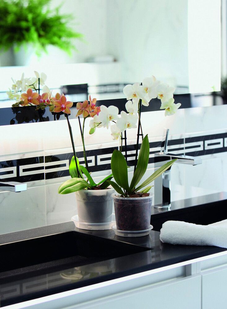 ORHIDEEPOTI ALUS 21 CM