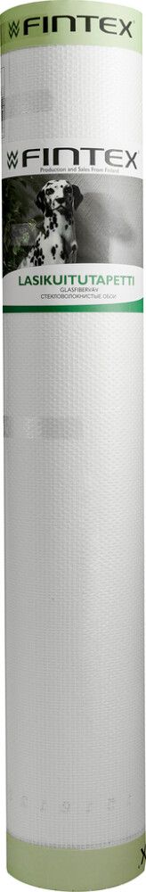 Klaaskiudtapeet Fintex Natura 194 50 m²
