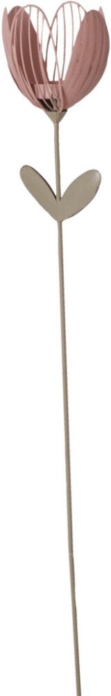 Küünlajalg Tulp 100 cm