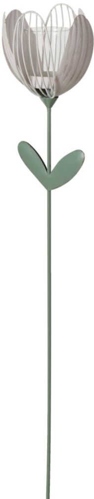 Küünlajalg Tulp 100 cm