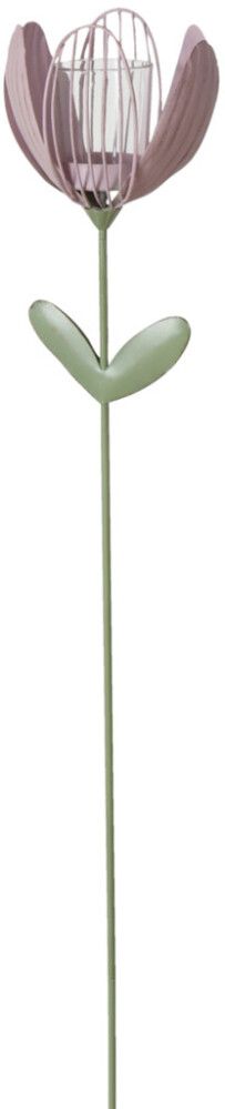 Küünlajalg Tulp 100 cm