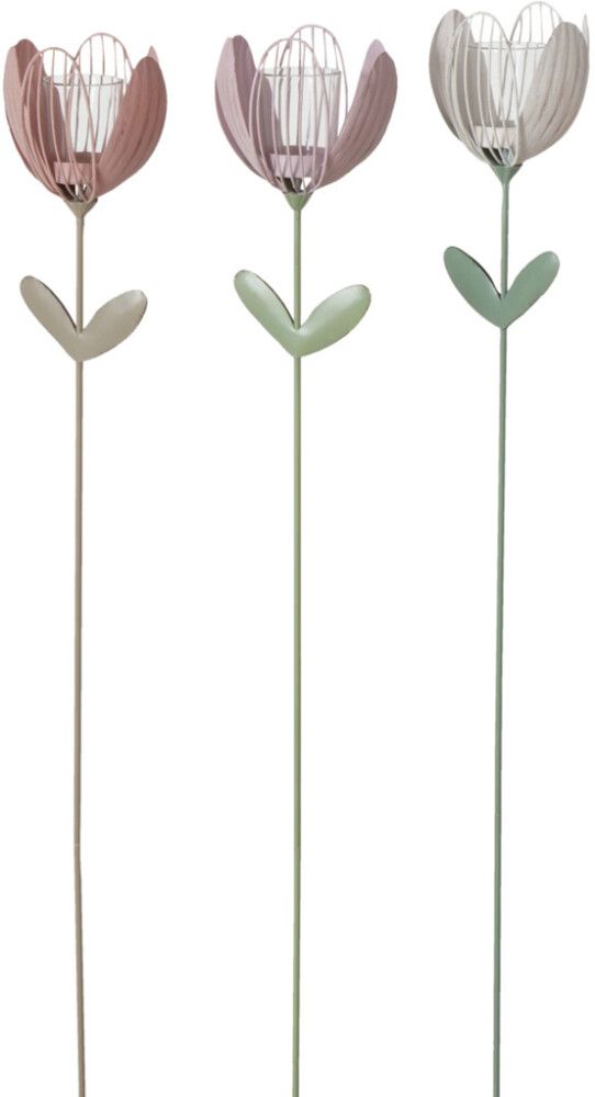 Küünlajalg Tulp 100 cm