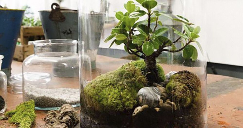 Klaasvaas Mathew 25 cm